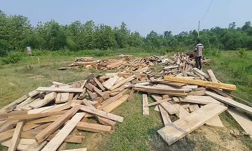 Forest Dept ने क्योंझर में 30 लाख रुपये की लकड़ी जब्त की Forest Dept ने क्योंझर में 30 लाख रुपये की लकड़ी जब्त की