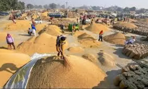 Punjab: गेहूं खरीद सीजन खत्म, निजी व्यापारियों का बढ़ा प्रभाव Punjab: गेहूं खरीद सीजन खत्म, निजी व्यापारियों का बढ़ा प्रभाव