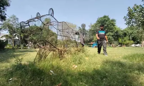 सेक्टर 35 के पार्कों के रखरखाव के लिए नगर निगम ने RWA के साथ समझौता खत्म किया सेक्टर 35 के पार्कों के रखरखाव के लिए नगर निगम ने RWA के साथ समझौता खत्म किया