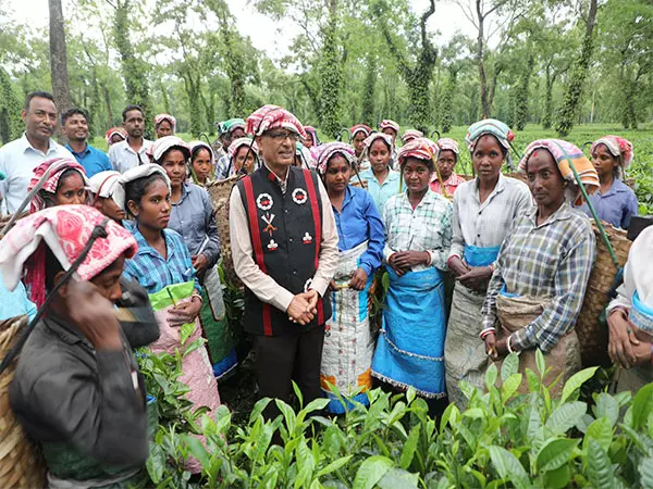 Assam: केंद्रीय मंत्री शिवराज सिंह चौहान ने हातिखुली चाय बागान का दौरा किया Assam: केंद्रीय मंत्री शिवराज सिंह चौहान ने हातिखुली चाय बागान का दौरा किया
