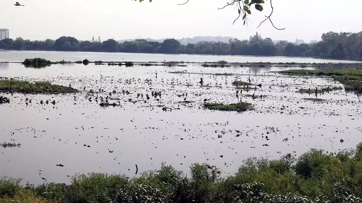 जल संरक्षण प्रयासों को बढ़ावा देने के लिए इंदौर ने जल गंगा संवर्धन अभियान 2.0 शुरू किया जल संरक्षण प्रयासों को बढ़ावा देने के लिए इंदौर ने जल गंगा संवर्धन अभियान 2.0 शुरू किया
