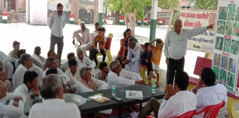 Sirsa के किसानों को ग्वार की वैज्ञानिक खेती का प्रशिक्षण दिया गया Sirsa के किसानों को ग्वार की वैज्ञानिक खेती का प्रशिक्षण दिया गया