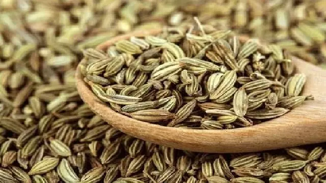 पाचन से लेकर ताज़ा सांस तक: सौंफ़ के बीज चबाने के 5 फ़ायदे पाचन से लेकर ताज़ा सांस तक: सौंफ़ के बीज चबाने के 5 फ़ायदे