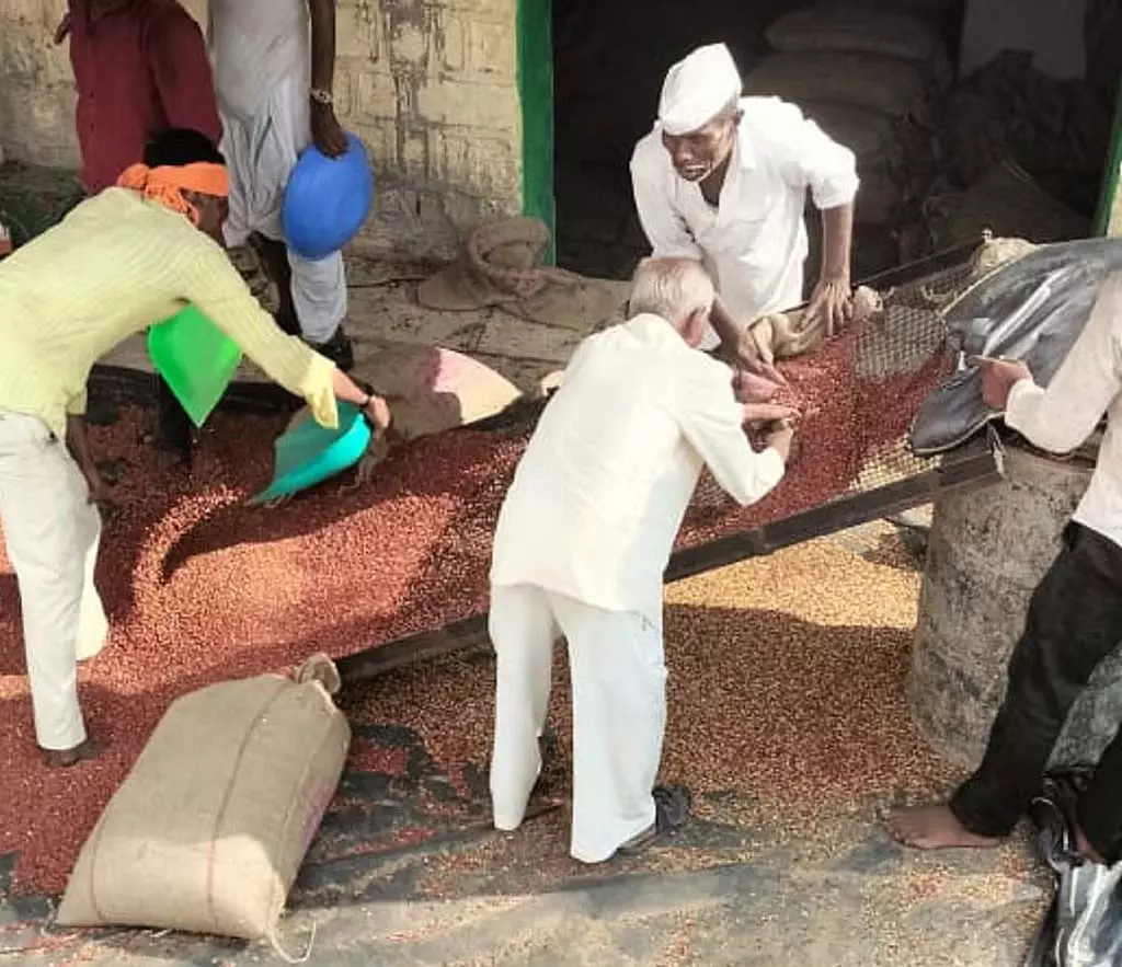 टोगारी की बिक्री : व्यापारियों पर कड़ी नजर टोगारी की बिक्री : व्यापारियों पर कड़ी नजर