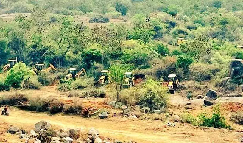 SC द्वारा नियुक्त समिति चाहती, कि कांचा गाचीबोवली को वन भूमि घोषित किया जाए SC द्वारा नियुक्त समिति चाहती, कि कांचा गाचीबोवली को वन भूमि घोषित किया जाए