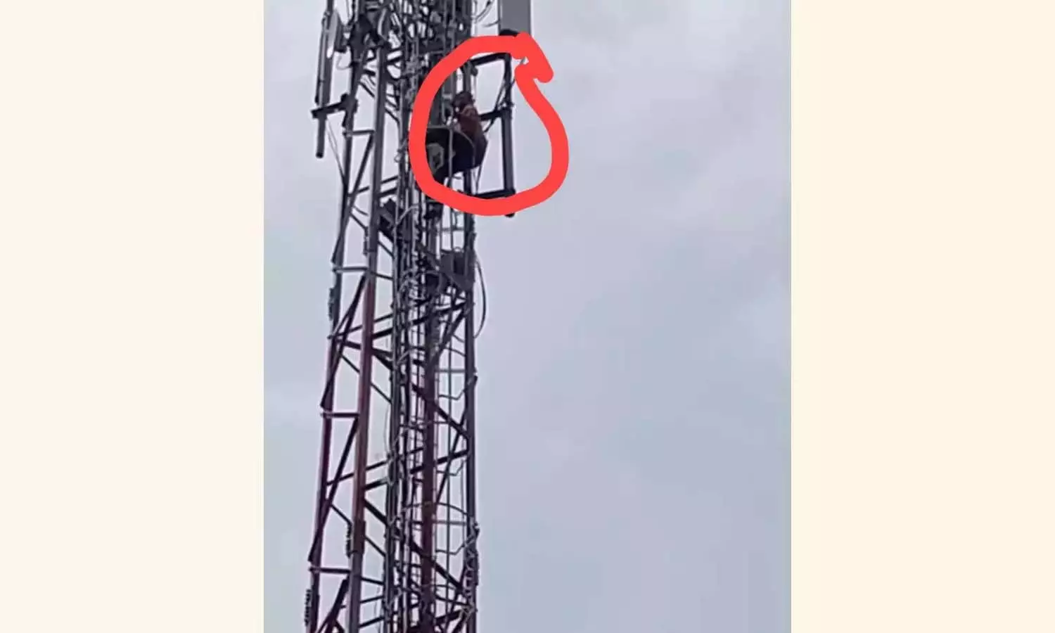 तेलंगाना MLA के आश्वासन से इंदिराम्मा हाउसिंग आवेदक की आत्महत्या की कोशिश रुकी तेलंगाना MLA के आश्वासन से इंदिराम्मा हाउसिंग आवेदक की आत्महत्या की कोशिश रुकी