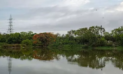 Mumbai : लोखंडवाला झील की सफाई का काम आखिरकार 6 साल की नागरिक सक्रियता के बाद शुरू हुआ Mumbai : लोखंडवाला झील की सफाई का काम आखिरकार 6 साल की नागरिक सक्रियता के बाद शुरू हुआ