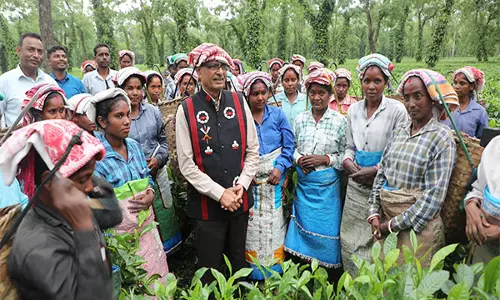 Assam: केंद्रीय मंत्री शिवराज सिंह चौहान ने हातिखुली चाय बागान का दौरा किया