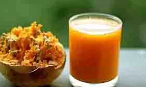 Summer Drink: गर्मियों में पिएं ये ड्रिंक्स, ठंडक के साथ शरीर को मिलेगी एनर्जी