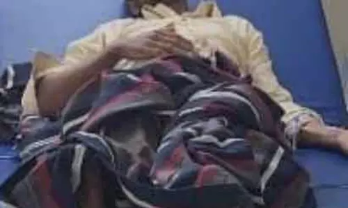 मादा भालू का हमला, युवक का पैर काटा मादा भालू का हमला, युवक का पैर काटा