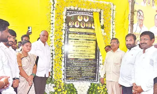 Nellore  ग्रामीण में उत्सव का माहौल