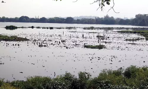 जल संरक्षण प्रयासों को बढ़ावा देने के लिए इंदौर ने जल गंगा संवर्धन अभियान 2.0 शुरू किया