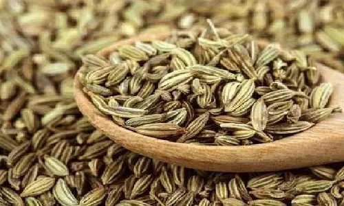 पाचन से लेकर ताज़ा सांस तक: सौंफ़ के बीज चबाने के 5 फ़ायदे