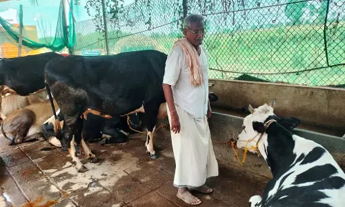 डेयरी फार्मिंग एक वरदान है; प्रति माह लाखों की कमाई डेयरी फार्मिंग एक वरदान है; प्रति माह लाखों की कमाई