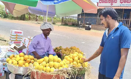 Karnataka : आम की बिक्री अच्छी, कीमतें ऊंची
