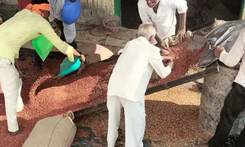 टोगारी की बिक्री : व्यापारियों पर कड़ी नजर टोगारी की बिक्री : व्यापारियों पर कड़ी नजर