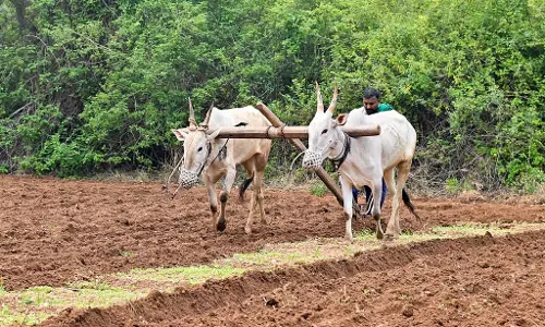 Karnataka : कृषि कार्य के लिए वर्षा की कमी