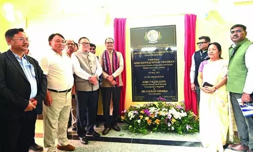 Nagaland के खेतों को वैश्विक आपूर्तिकर्ता में बदलने का समय आ गया Nagaland के खेतों को वैश्विक आपूर्तिकर्ता में बदलने का समय आ गया