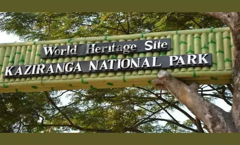 Assam : काजीरंगा राष्ट्रीय उद्यान में 79 आर्किड प्रजातियां पाई गईं Assam : काजीरंगा राष्ट्रीय उद्यान में 79 आर्किड प्रजातियां पाई गईं