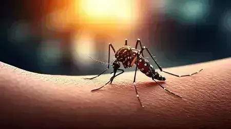 National Dengue Day पर सतर्कता की अपील, समय रहते करें बचाव
