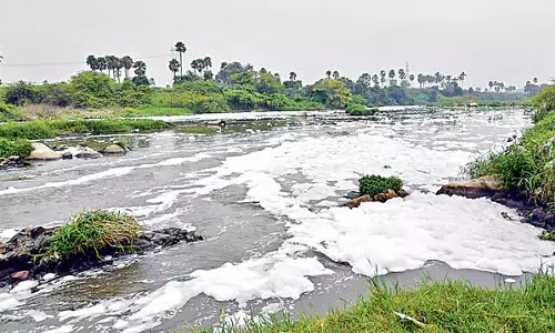 मुसी रिवर फ्रंट डेवलपमेंट: कोरिस के लिए मुसी नदी ऋण