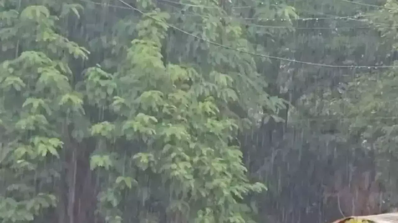 Andhra Pradesh के गुंटूर और नेल्लोर जिलों में भारी बारिश