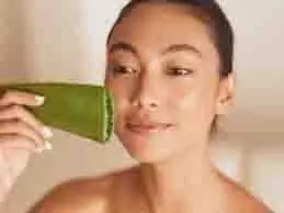 Skin Care: धूप से झुलसी त्वचा पर लगाएं एलोवेरा, सनबर्न और टैनिंग कम करने में है मददगार Skin Care: धूप से झुलसी त्वचा पर लगाएं एलोवेरा, सनबर्न और टैनिंग कम करने में है मददगार