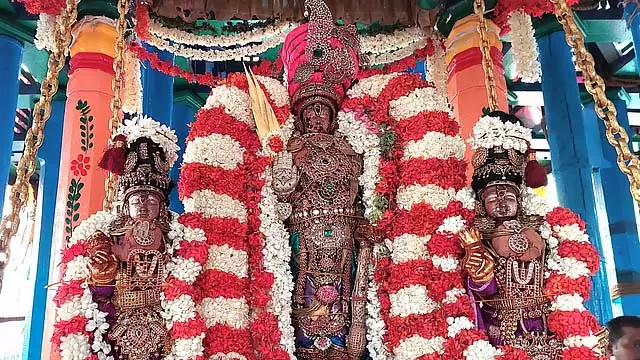 कांचीपुरम श्री वरदराजस्वामी मंदिर रथ महोत्सव कांचीपुरम श्री वरदराजस्वामी मंदिर रथ महोत्सव