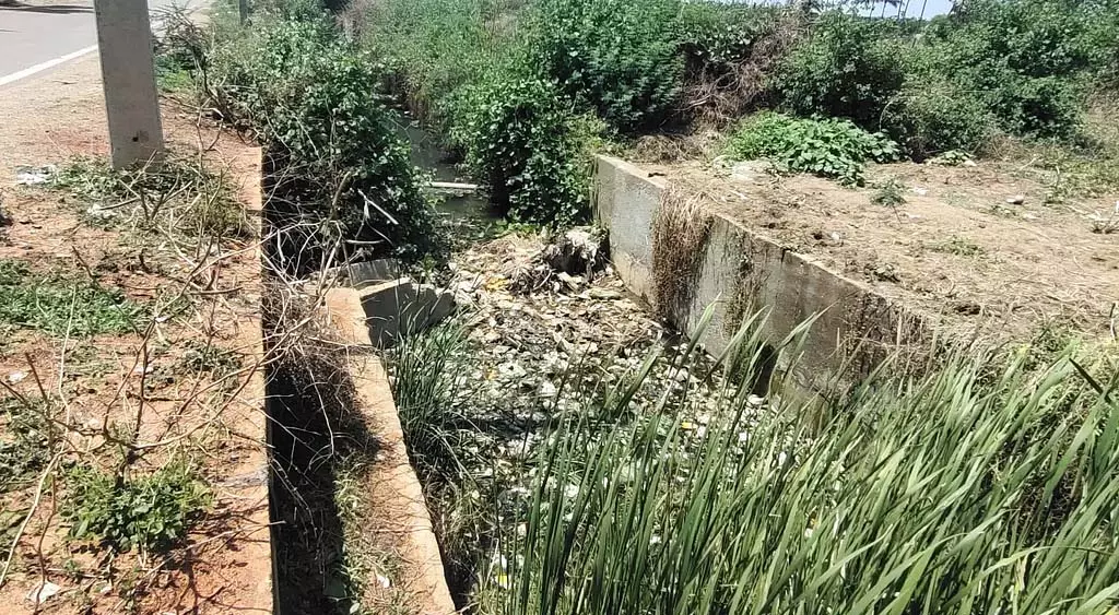 नहर की गाद साफ करने में नगर पंचायत की लापरवाही : आरोप नहर की गाद साफ करने में नगर पंचायत की लापरवाही : आरोप