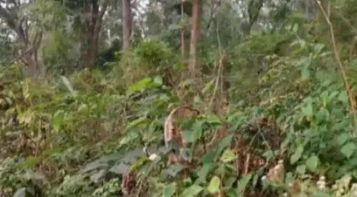 Odisha: बोलनगीर में दो माओवादी शिविरों का भंडाफोड़, विस्फोटक बरामद Odisha: बोलनगीर में दो माओवादी शिविरों का भंडाफोड़, विस्फोटक बरामद