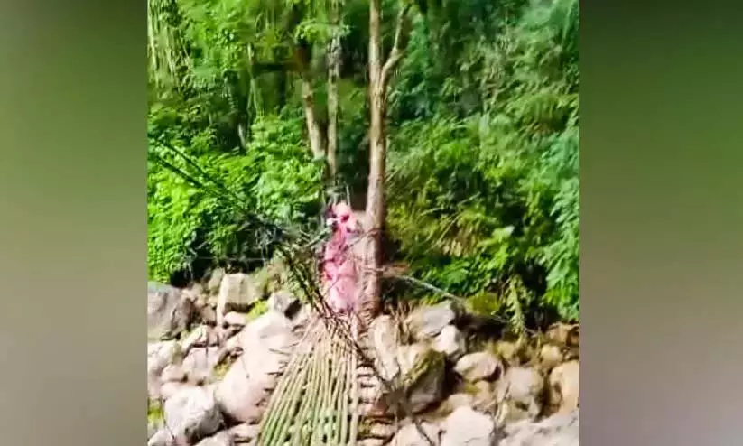 बाढ़ में पुल बह गये सात वर्ष बीत चुके हैं; कल्लकुट्टी कुडी के लोग शिकायत करते-करते थक गए बाढ़ में पुल बह गये सात वर्ष बीत चुके हैं; कल्लकुट्टी कुडी के लोग शिकायत करते-करते थक गए