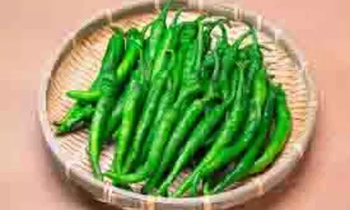 green chillie : हरी मिर्च खाने से मिलते हैं ये 7 कमाल के स्वास्थ्य लाभ