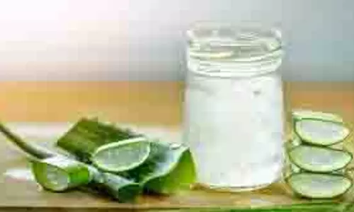 Aloe Vera Juice: आपको स्वस्थ रखने में करता है मदद, इस हेल्दी ड्रिंक के सेवन से दूर होंगी ये समस्याएं Aloe Vera Juice: आपको स्वस्थ रखने में करता है मदद, इस हेल्दी ड्रिंक के सेवन से दूर होंगी ये समस्याएं