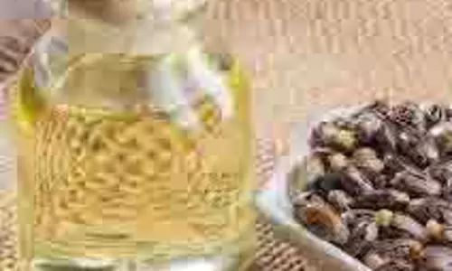 Castor Oil:अरंडी के तेल से पाएं चमकदार बाल
