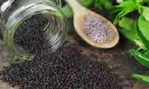 Health: इन बीजों के सेवन से बिना एक्सरसाइज के घटाएं वजन