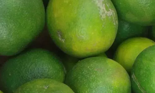 मोसंबी की कीमत में गिरावट से Nalgonda के किसानों पर भारी असर पड़ा