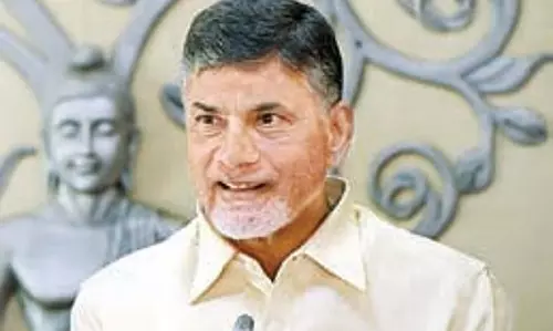 सुनिश्चित करें कि कोई भी तंबाकू किसान घाटे में न रहे: CM  Naidu