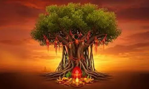Vat Savitri 2025: अगर नहीं मिल पा रहा बरगद का पेड़, इन विधियों से करें वट सावित्री व्रत की पूजा, मिलेगा पूरा लाभ Vat Savitri 2025: अगर नहीं मिल पा रहा बरगद का पेड़, इन विधियों से करें वट सावित्री व्रत की पूजा, मिलेगा पूरा लाभ