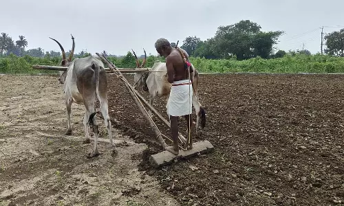 मानसून-पूर्व बारिश: बुवाई शुरू मानसून-पूर्व बारिश: बुवाई शुरू
