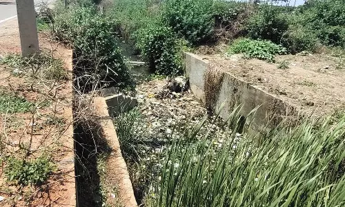 नहर की गाद साफ करने में नगर पंचायत की लापरवाही : आरोप