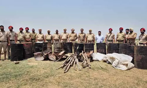 Punjab: कार्रवाई में 2600 लीटर लाहन, 6 लाख मिलीलीटर अवैध शराब जब्त