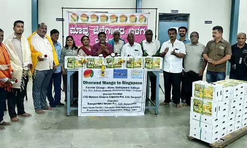 धारवाड़ की कृति से सिंगापुर तक: अधिक राजस्व प्राप्ति की उम्मीद धारवाड़ की कृति से सिंगापुर तक: अधिक राजस्व प्राप्ति की उम्मीद