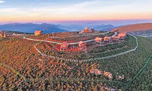 NGT ने ओडिशा सरकार से देवमाली संरचनाओं को ध्वस्त करने या मंजूरी लेने को कहा