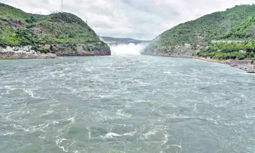 Telangana: 15% कृषि योग्य भूमि को ही सुनिश्चित सिंचाई मिलती, AP में 95% को ही सुनिश्चित सिंचाई मिलती
