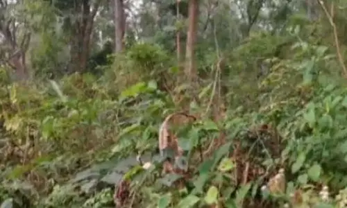 Odisha: बोलनगीर में दो माओवादी शिविरों का भंडाफोड़, विस्फोटक बरामद
