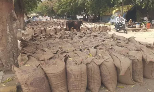 Haryana : सरकारी एजेंसियों ने 3.18 लाख मीट्रिक टन गेहूं खरीदा Haryana : सरकारी एजेंसियों ने 3.18 लाख मीट्रिक टन गेहूं खरीदा
