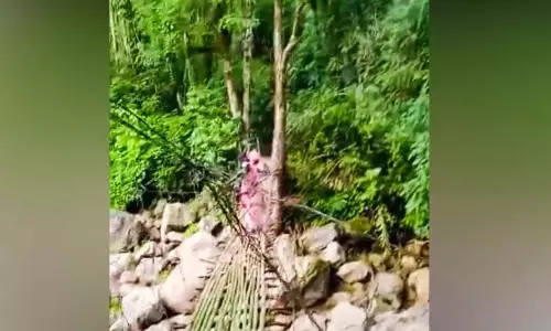 बाढ़ में पुल बह गये सात वर्ष बीत चुके हैं; कल्लकुट्टी कुडी के लोग शिकायत करते-करते थक गए बाढ़ में पुल बह गये सात वर्ष बीत चुके हैं; कल्लकुट्टी कुडी के लोग शिकायत करते-करते थक गए