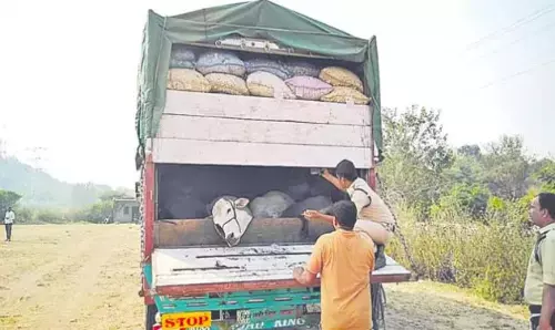 Khammam में 7 मवेशी जांच चौकियां स्थापित की