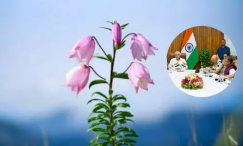 Manipur: कुकी प्रमुखों ने नागा द्वारा आयोजित शिरुई लिली उत्सव को समर्थन देने का वादा किया Manipur: कुकी प्रमुखों ने नागा द्वारा आयोजित शिरुई लिली उत्सव को समर्थन देने का वादा किया