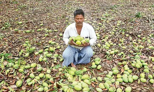 Andhra : गुंटूर में भारी बारिश